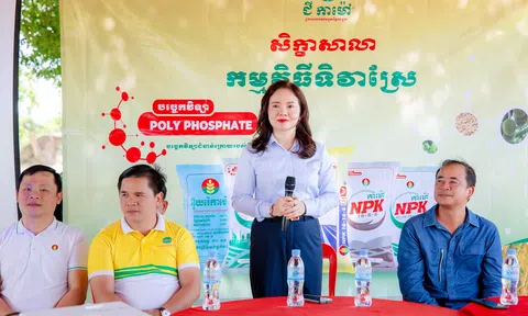 PVCFC khai trương văn phòng đại diện tại Phnom Penh, đánh dấu 10 năm đồng hành và vững bước cùng nông nghiệp Campuchia