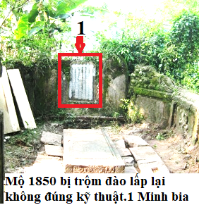 dt1a-hang-1-1781838332.png