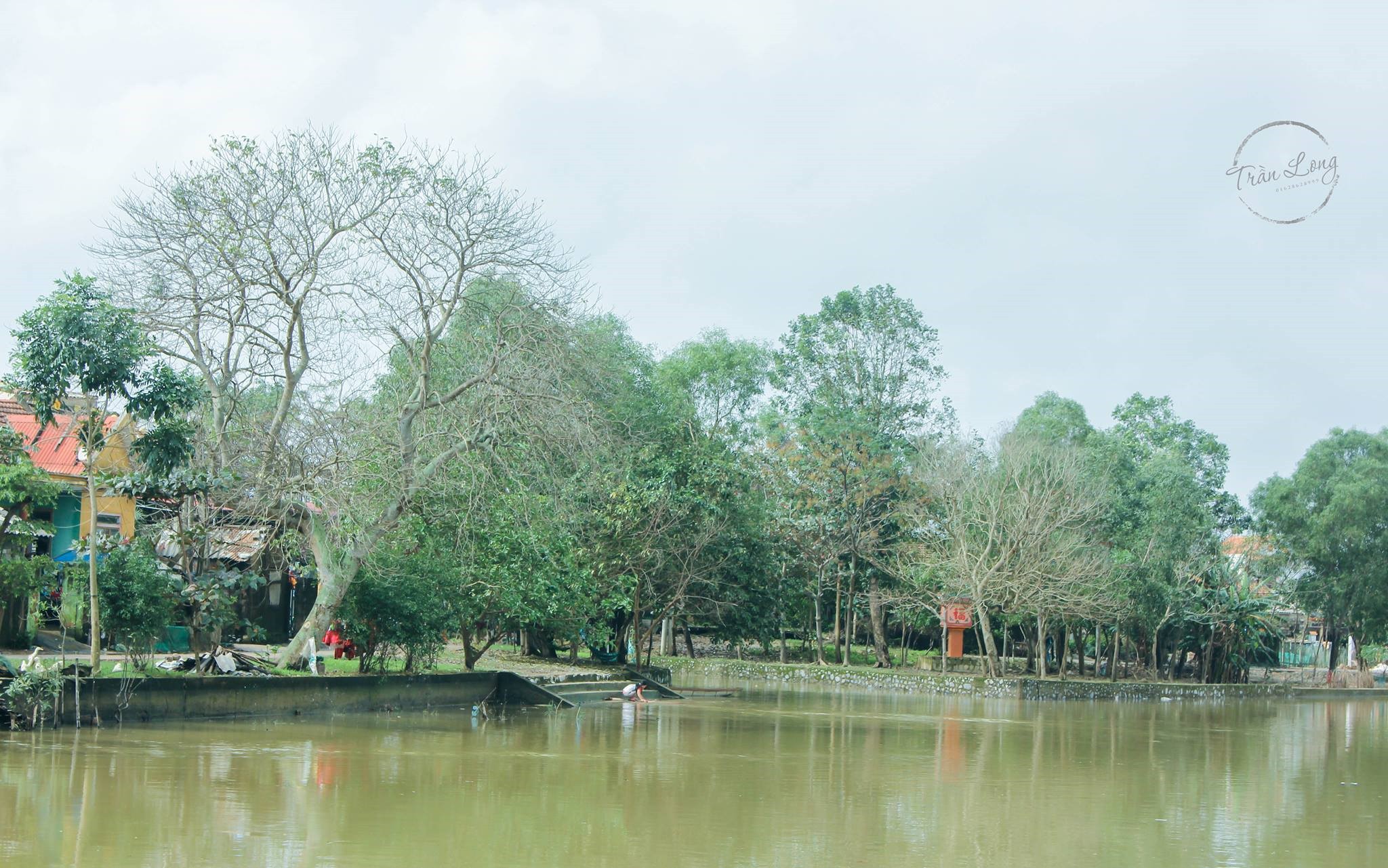 le-thuy1-1627292285.jpg