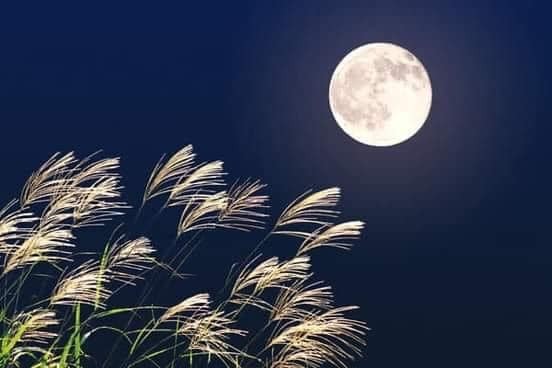 Trong tình cảnh thất tình hoặc tâm trạng buồn, người ta thường mỉm cười khi nhìn thấy đêm trăng buồn. Vì trăng tròn và sáng nhưng cô đơn, u ám trong vẻ đẹp của nó. Hãy xem bức ảnh này để cảm nhận được cảm xúc này.