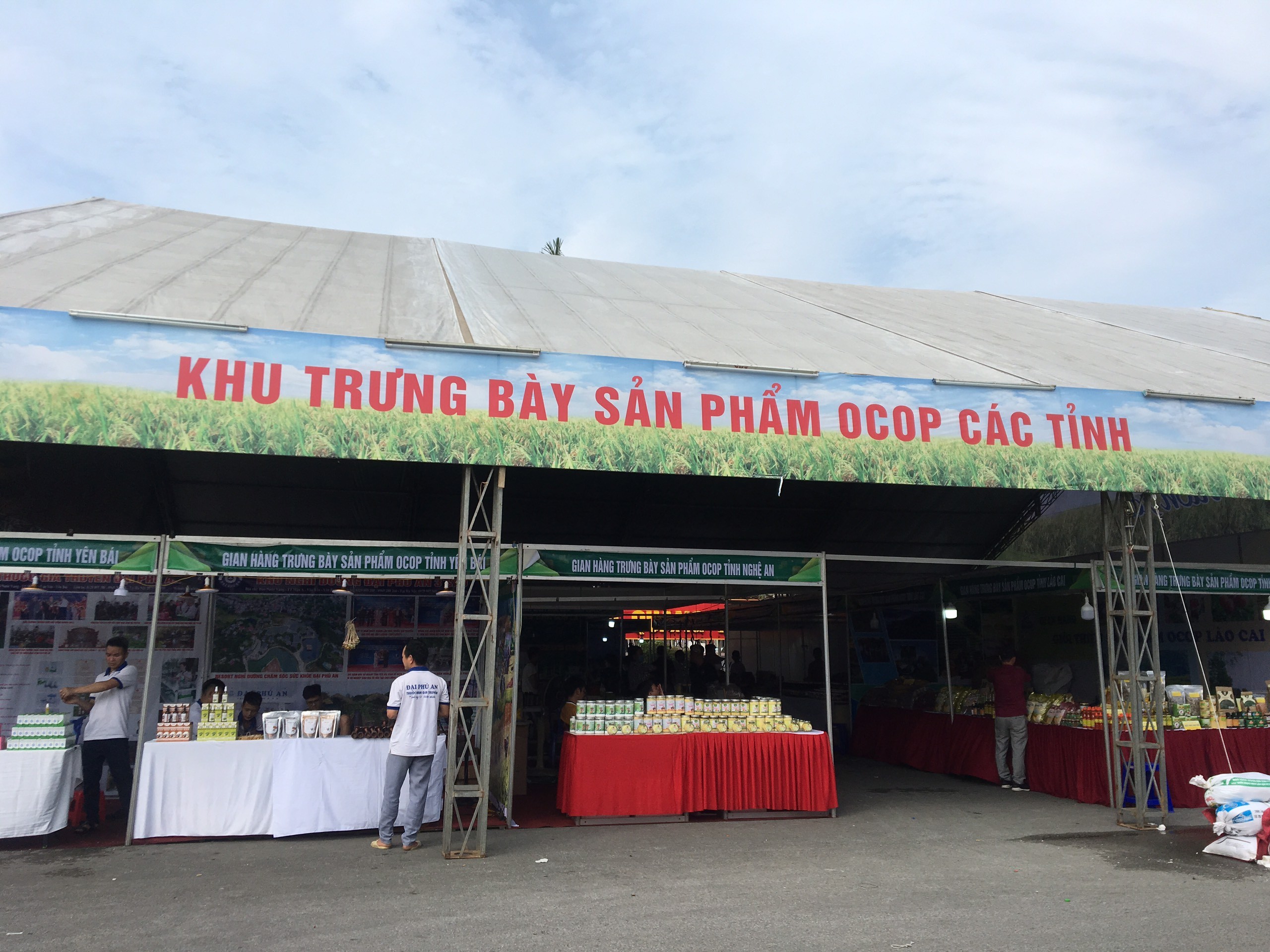 anh-6-trung-bay-cac-tinh-1652235385.jpg