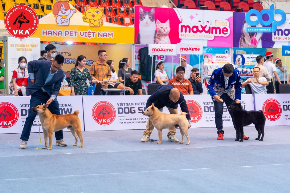 vietnam-international-dog-show-2023d-1703147072.png