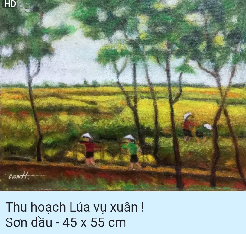 11-thu-hoach-lua-vu-xuan-son-dau-45-55-cm-1703237596.jpg