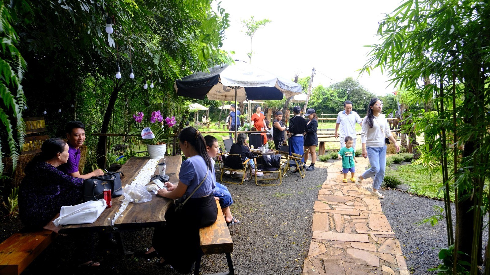 kham-pha-khu-trai-nghiem-horse-cafe-garden-10-1710773401.jpg