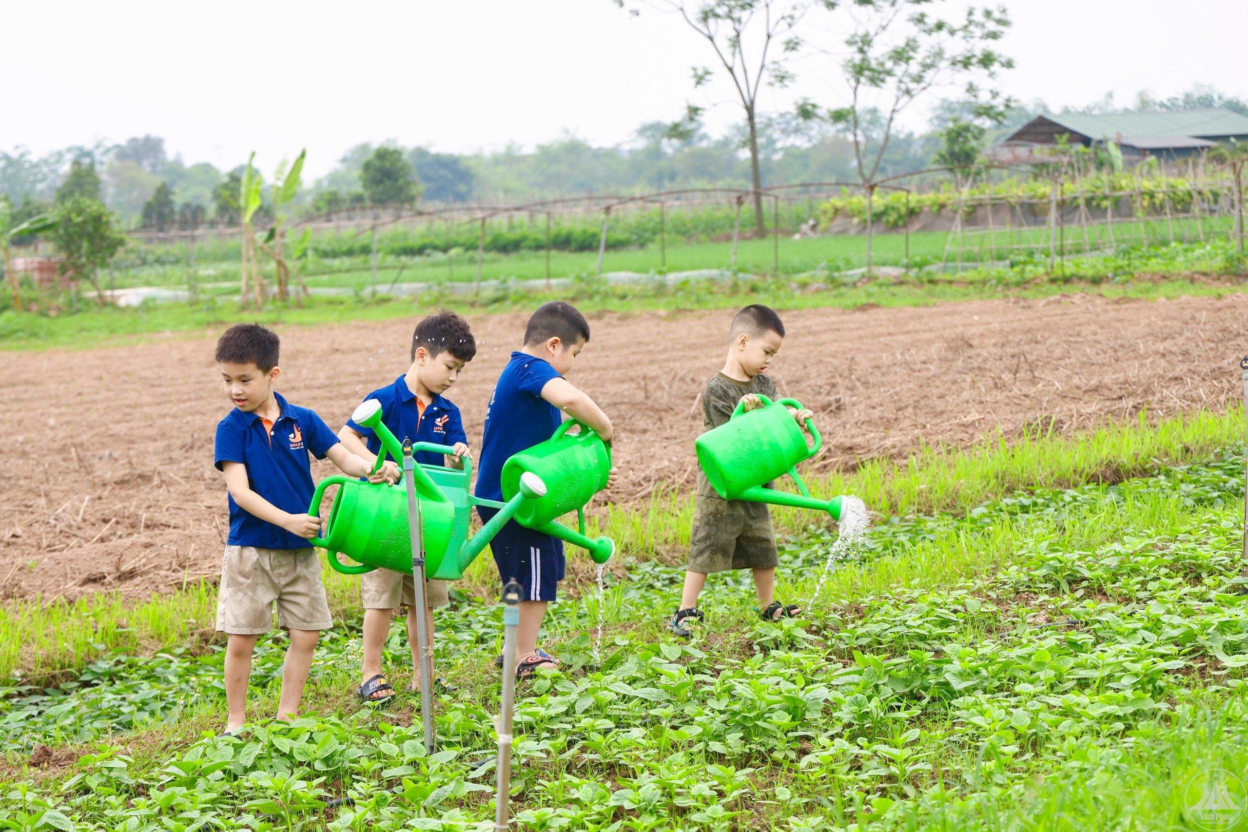 suc-hut-nong-nghiep-vinh-phuc6-1717392268.jpg