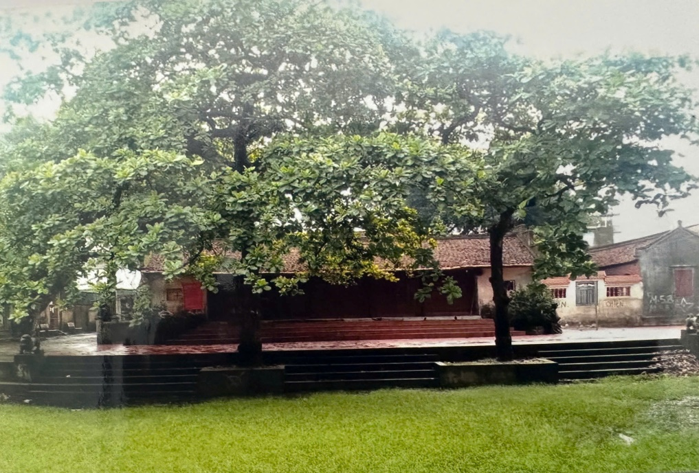 den-ha-1780048309.png
