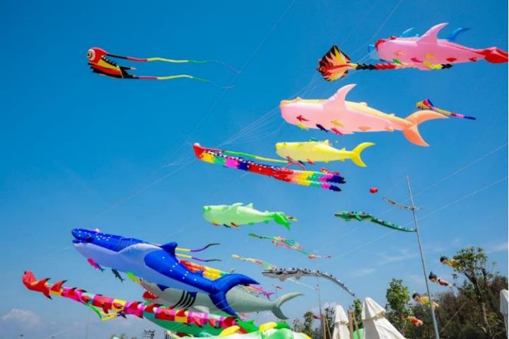 summer-fest-pr7-du-khach-phan-khich-dl-update1416-1780744713.png