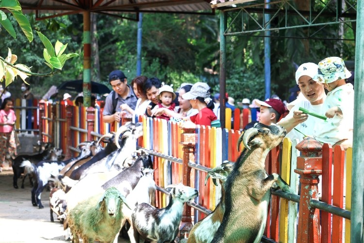 anh-4-cac-em-ban-tre-nhi-va-cac-phu-huynh-tuong-tac-voi-thu-cung-tai-thao-cam-vien-sai-gon-1781159855.jpg