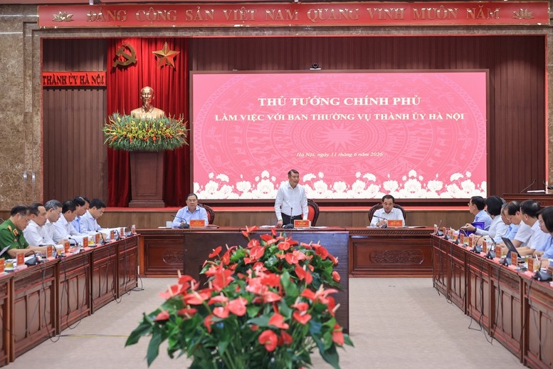 dt1a-lmh1a-1781193485.jpg