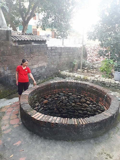 mot-trong-nhung-gieng-co-cua-lang-1782190566.webp