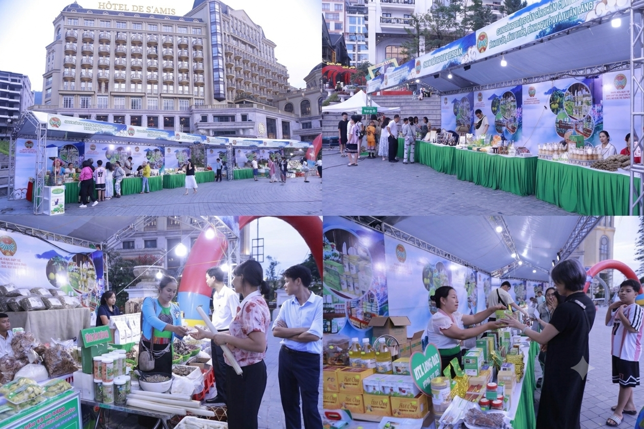 img-6990-1783688148.png
