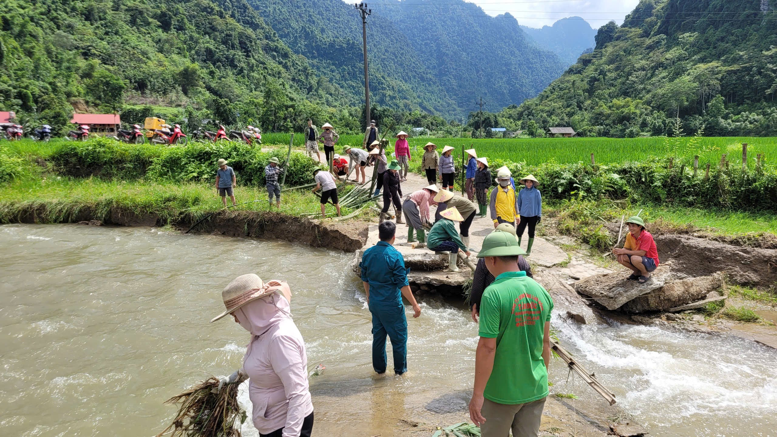 lambinh-1-1785302616.jpg
