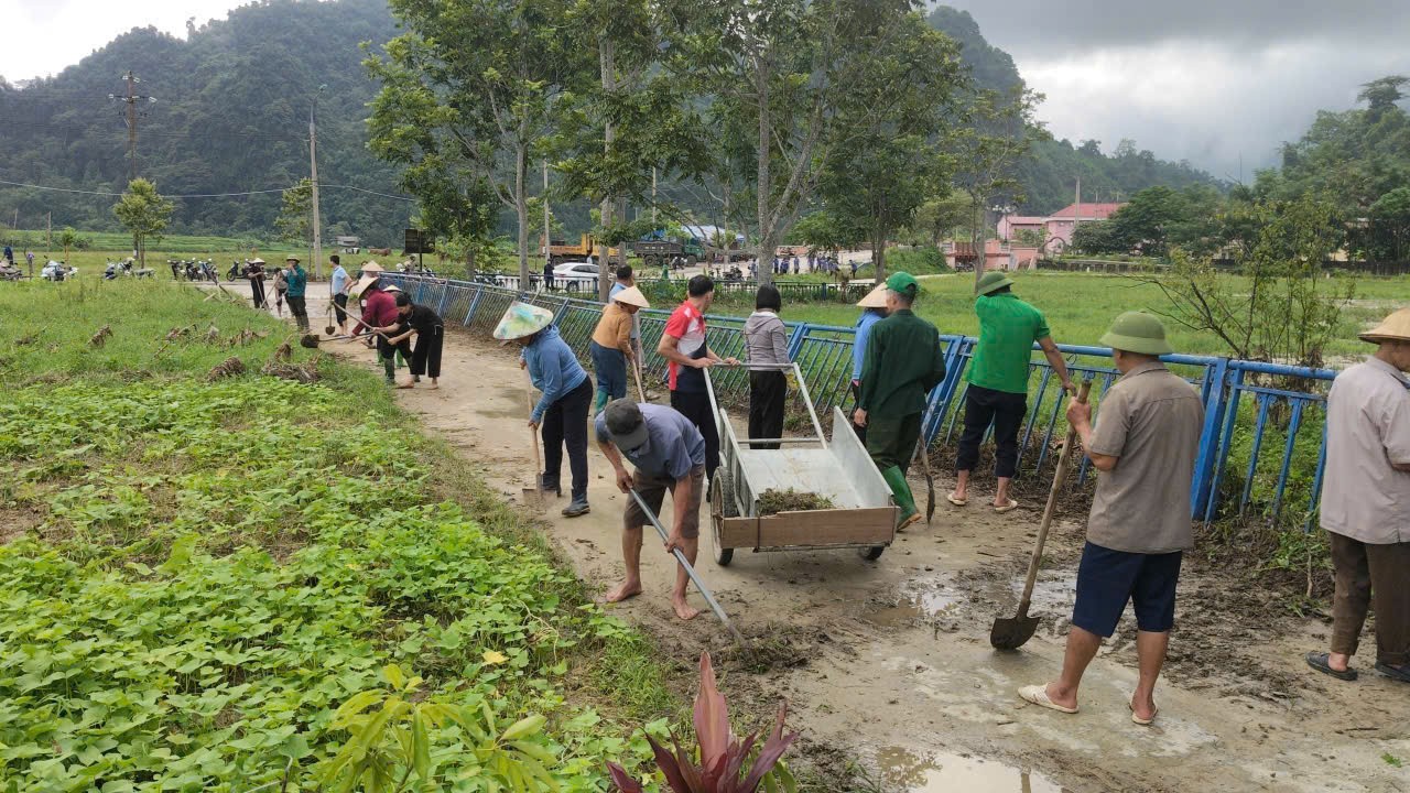 lambinh-3-1785302616.jpg
