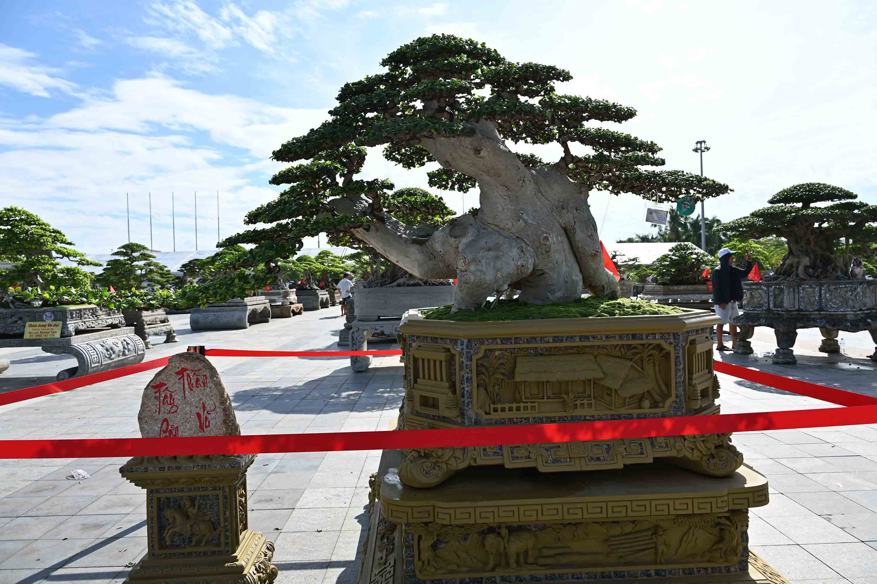6-tac-pham-tay-son-than-vu-nha-vuon-tien-huynh-1788793012.jpg