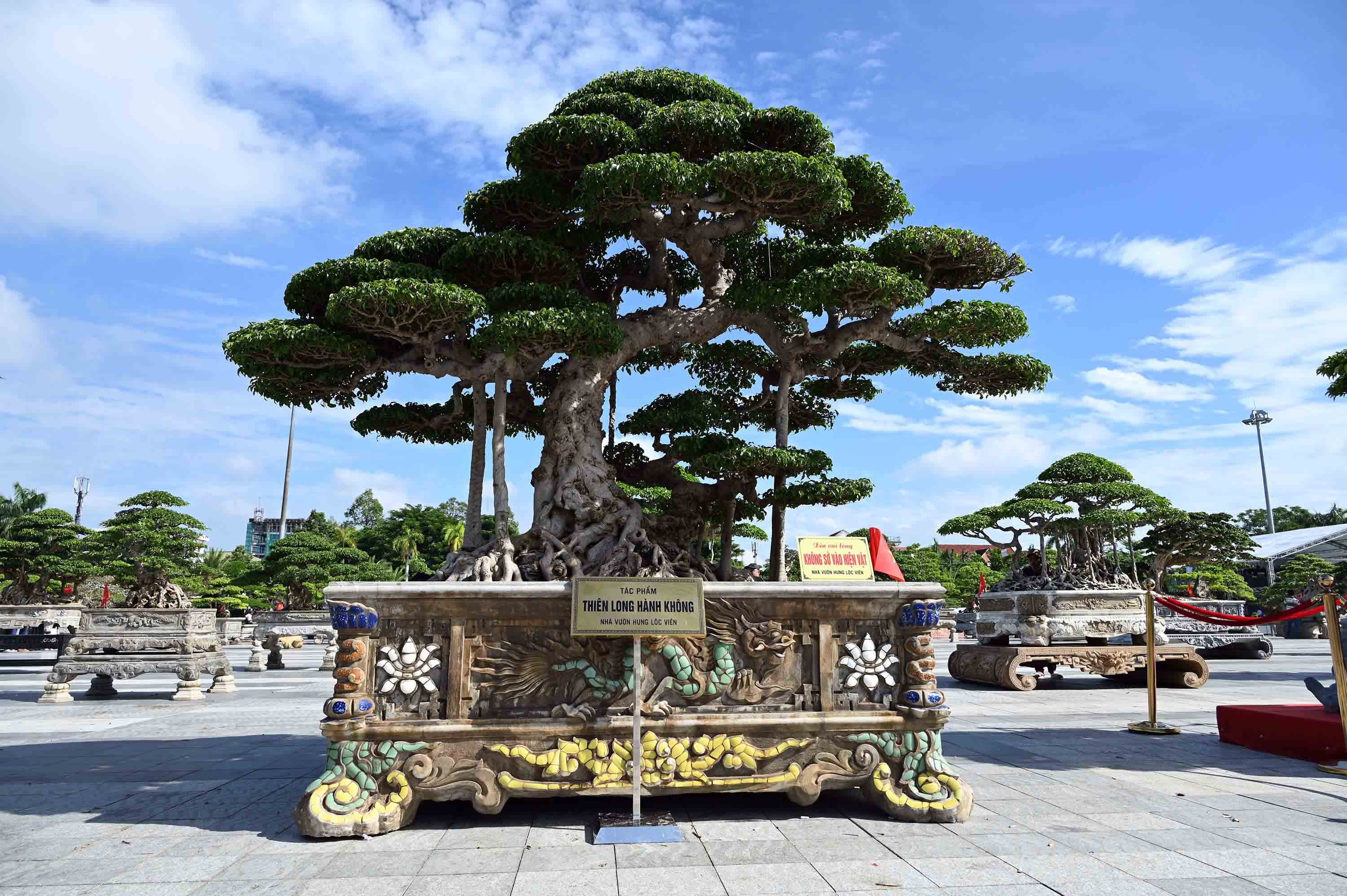 8-thien-long-hanh-khong-nha-vuon-hung-loc-vien-1788793012.jpg
