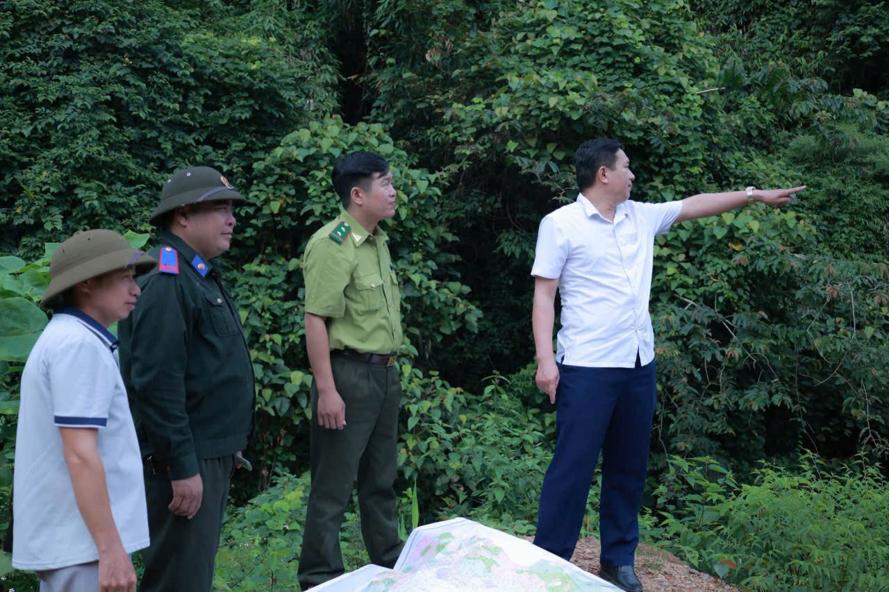 binhan-1-1788750853.jpg