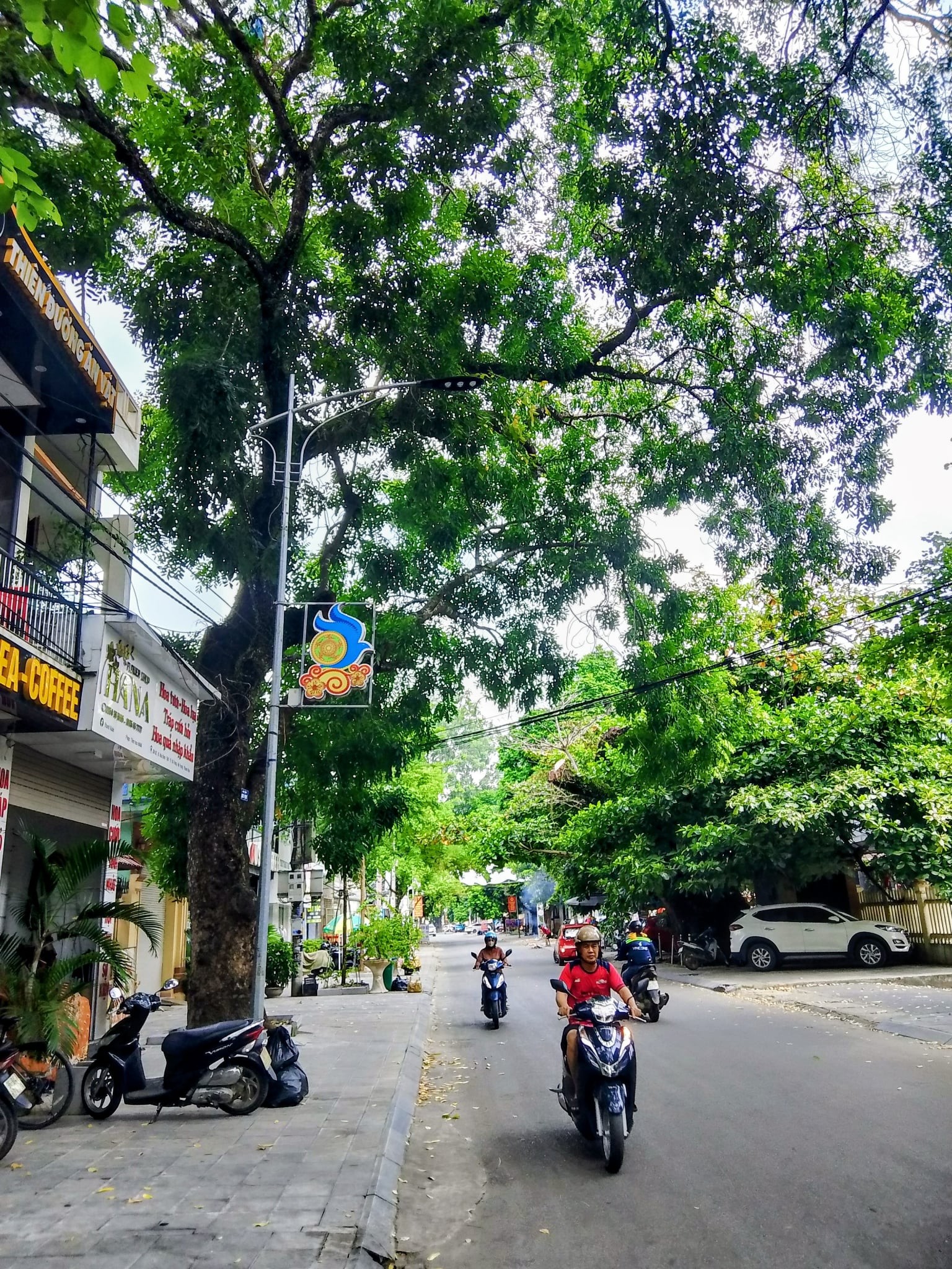 thanhhoa-2-1789356579.jpg