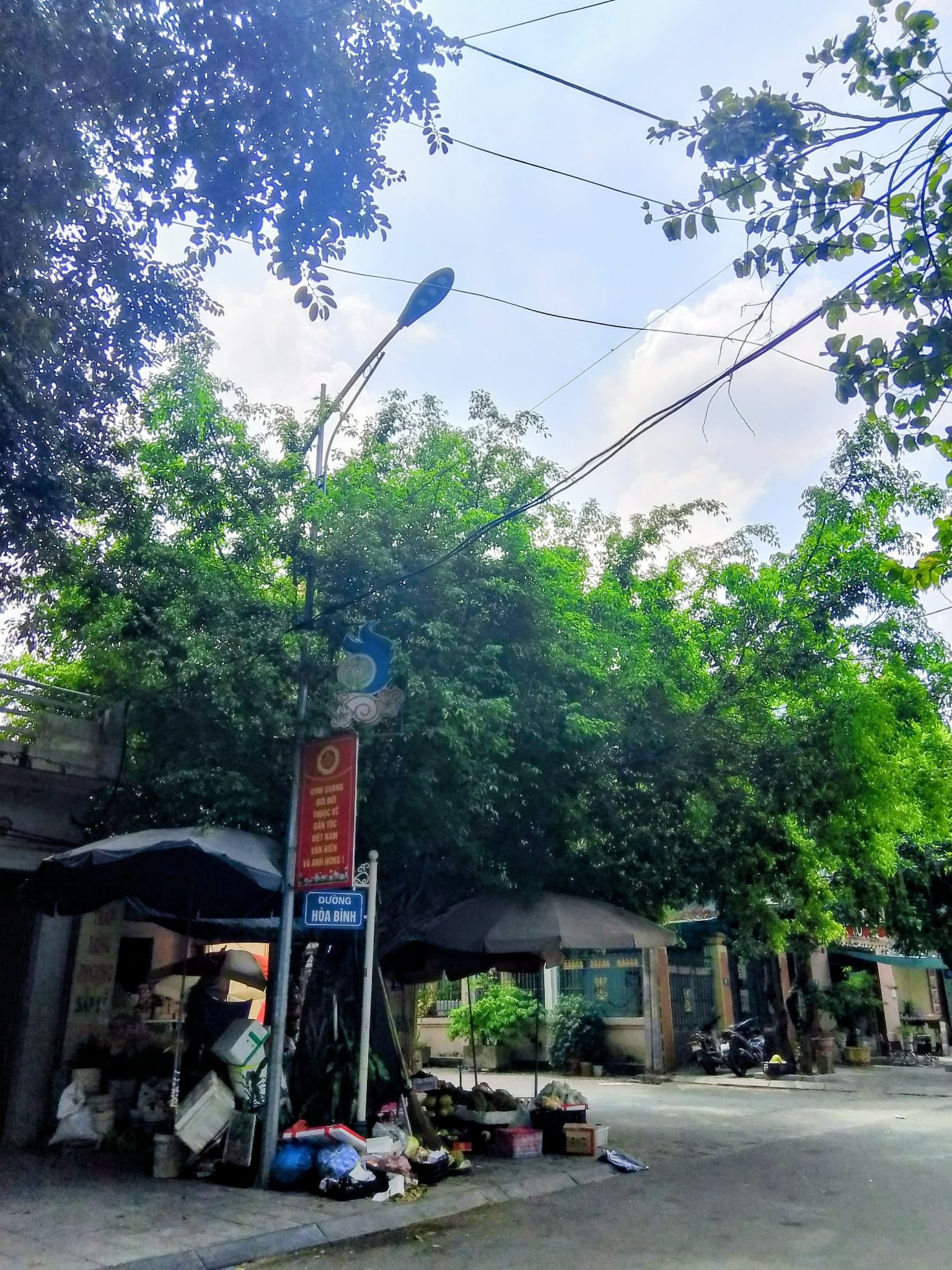 thanhhoa-3-1789356579.jpg