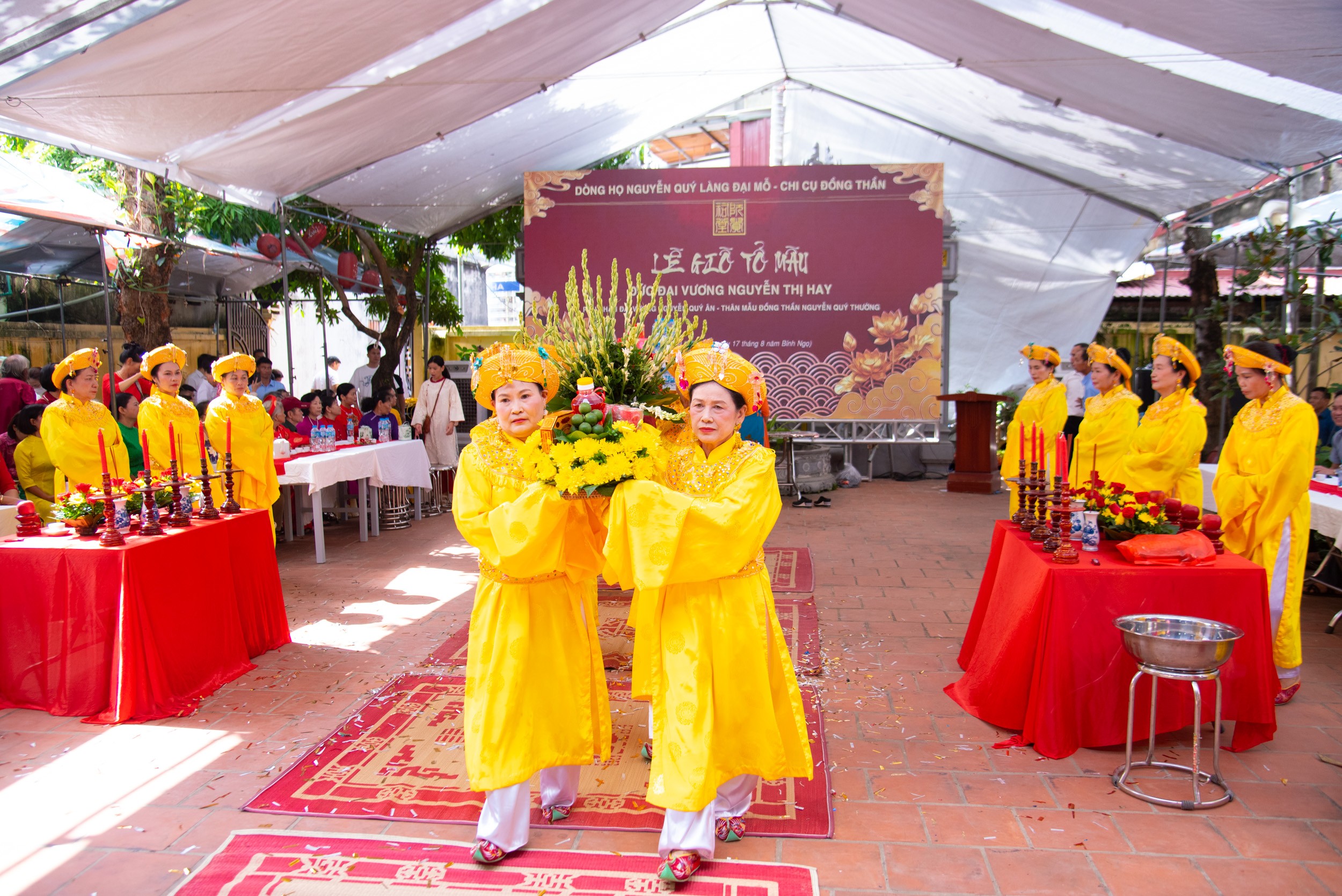 dsc-9827-1790499588.jpg