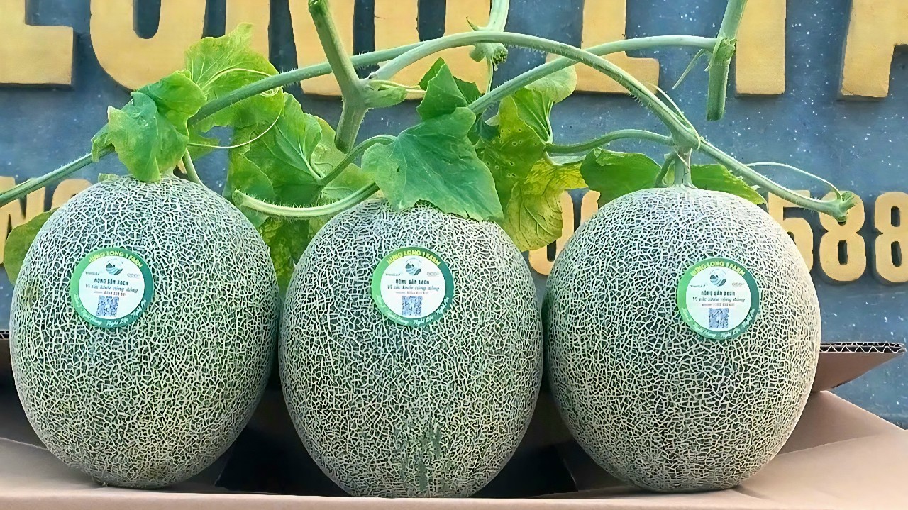 a4-1790919014.jpg