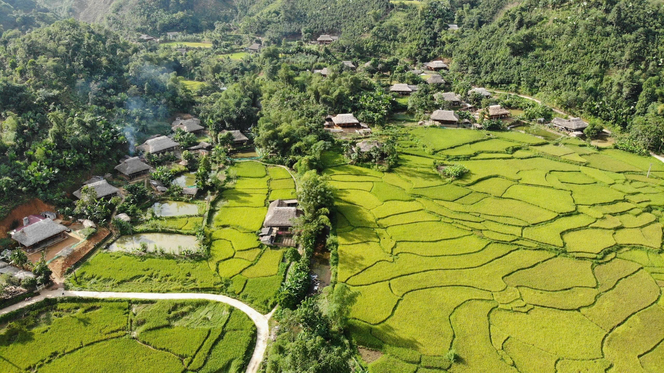 nghia-do-1791186969.jpg