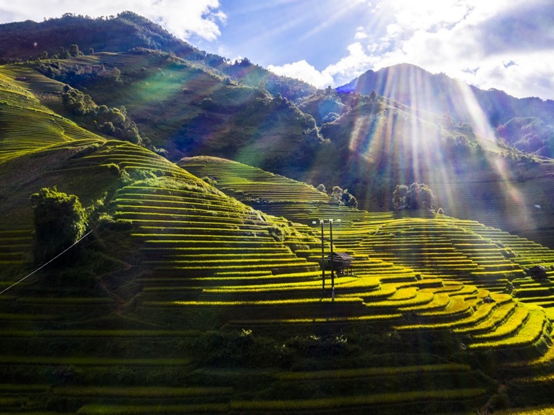 ruong-bac-thang-o-tay-bac-duoc-tao-nen-tu-nhung-doi-tay-kheo-leo-cua-dong-bao-dan-toc-thieu-so-1791186426.jpg