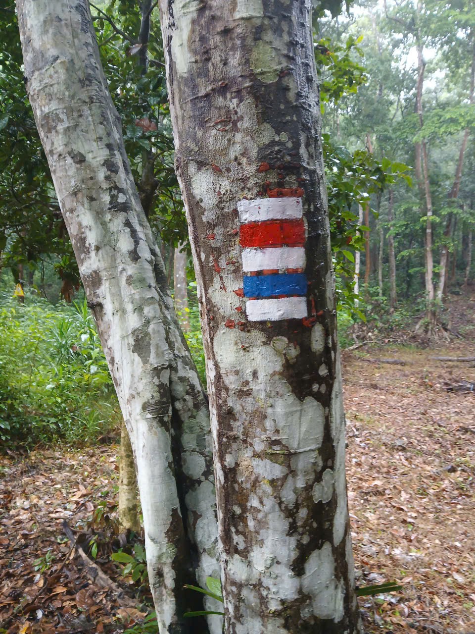 4-1793263254.jpg