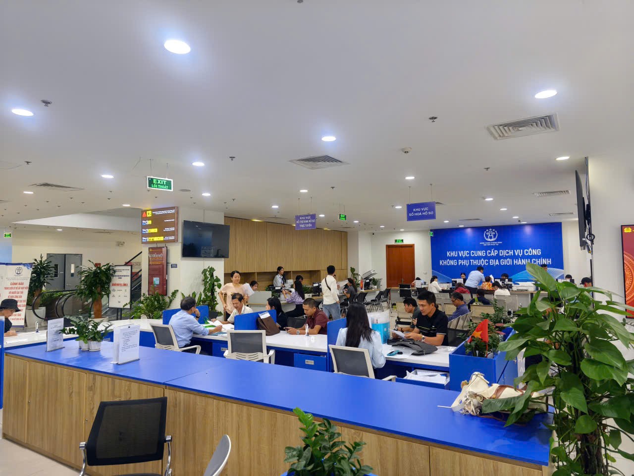 dt1a-c1-1793456384.jpg