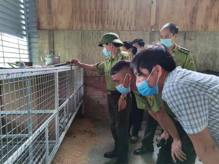 Trại Chồn Hương ở Thanh Hoá bán chồn giống và thịt  NongLamNET