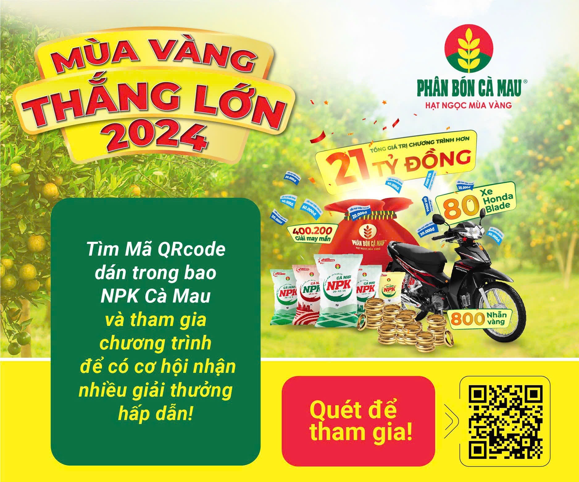 Đạm Cà Mau