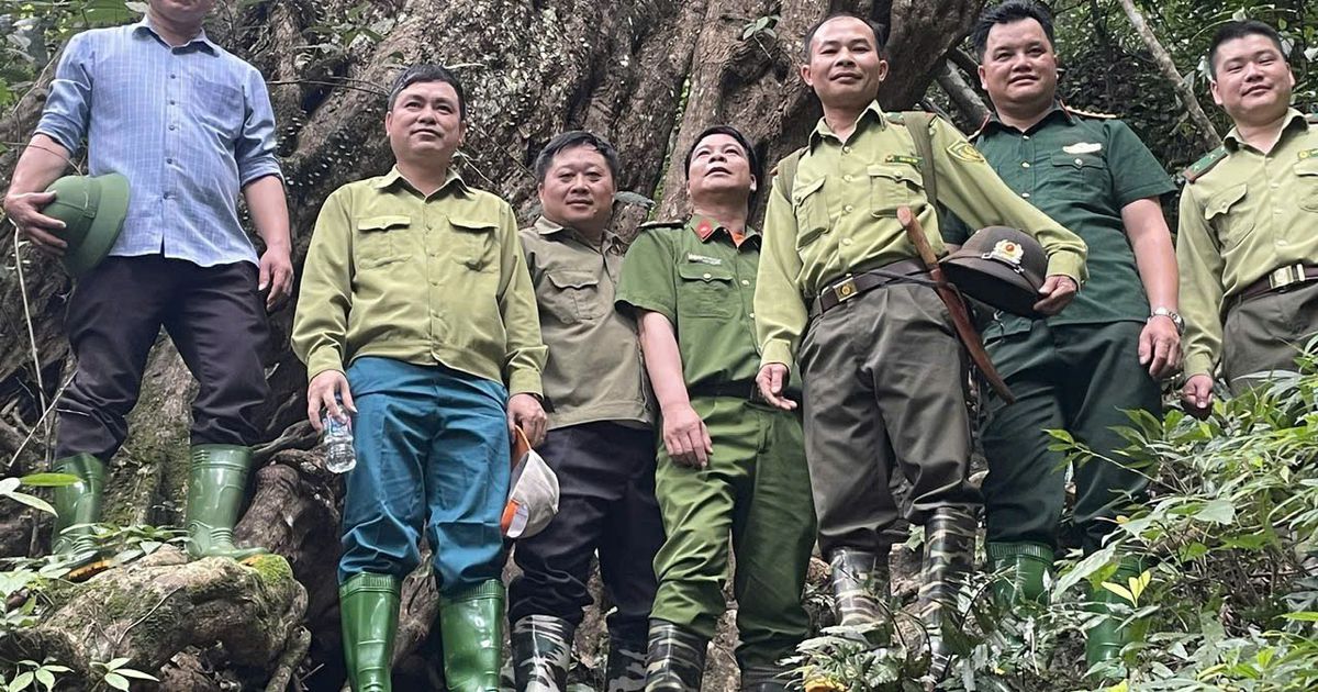 Tuyên Quang: Giữ màu xanh đại ngàn Yên Hoa từ những bước chân tuần rừng