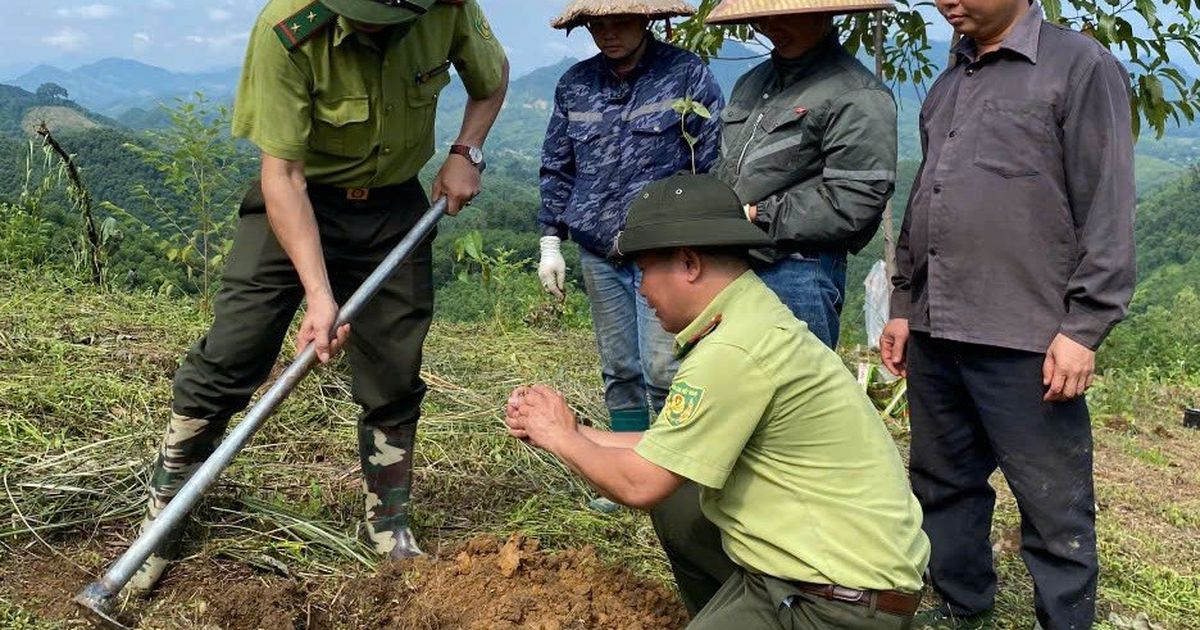 Tuyên Quang: Giữ rừng để kiến tạo những giá trị phát triển bền vững cho cộng đồng