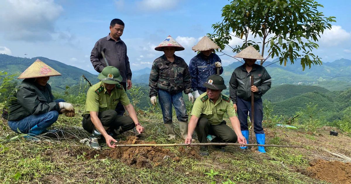 Tuyên Quang: Giữ rừng từ sớm, bảo vệ màu xanh ở Bình Xa