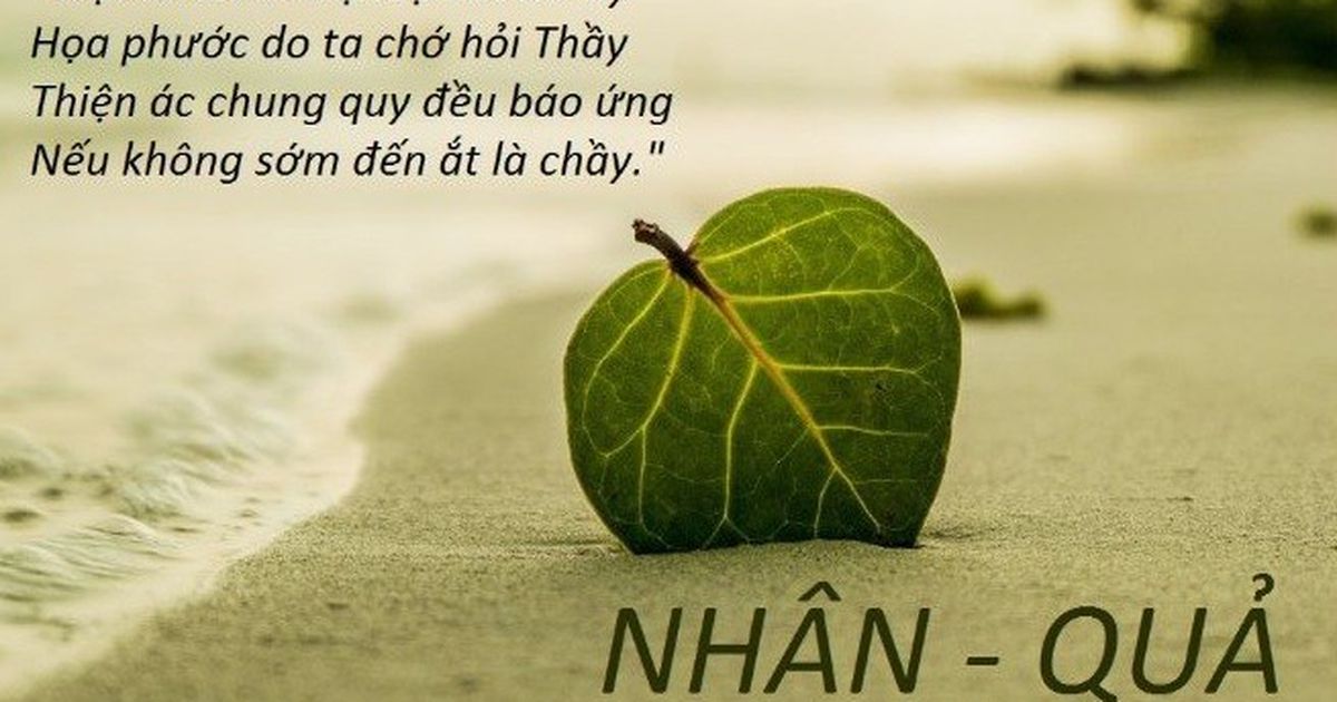 Bài Học Về Luật Nhân Quả