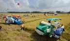 Góc nhìn văn hoá: Sống “thuận thiên” - Chìa khóa phát triển bền vững Đồng bằng sông Cửu Long