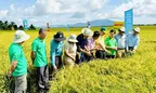 Góc nhìn văn hoá: Đề án “Một triệu ha lúa và hành trình xanh hóa Đồng bằng sông Cửu Long”