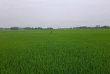 Pú Thọ: Xã Tiên Lương ứng dụng công nghệ số, hướng dẫn canh tác, chăm sóc cây trồng phù hợp