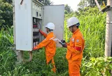 Phú Thọ: Điện lực Tam Đảo triển khai giải pháp tiết kiệm điện
