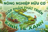 Góc nhìn văn hoá: Phát triển nông nghiệp hữu cơ, sinh thái - Kiến tạo niềm tin thị trường
