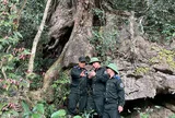 Tuyên Quang: Ban Quản lý rừng đặc dụng Nà Hang bảo vệ và phát triển rừng bền vững