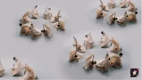 Mỗi ngày 3 bản nhạc dễ nghe đẳng cấp thế giới- Ngày thứ hai