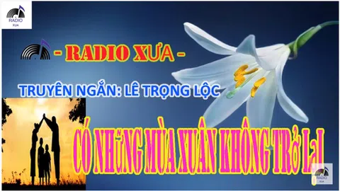 Có những mùa xuân không trở lại 