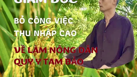 Gương sáng văn hoá: Hưng Yên – Giám đốc bỏ công việc thu nhập cao về làm nông nghiệp và học Phật