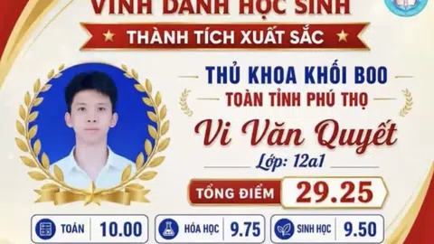 Nam sinh Trường THPT Tam Đảo 2 giành ngôi Thủ khoa khối B00 tỉnh Phú Thọ năm 2026