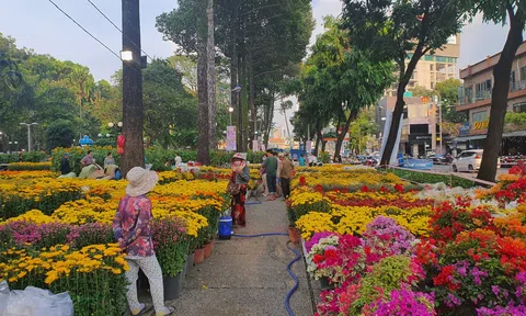 5 loài hoa nên cân nhắc khi trưng bày dịp Tết: Đẹp chưa chắc đã phù hợp cho không gian kín