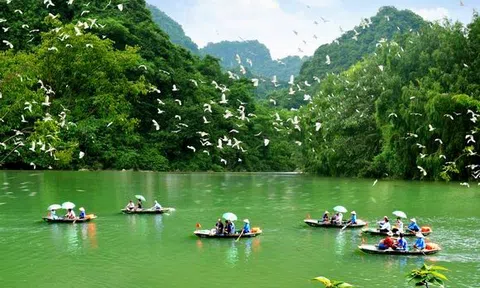 Ninh Bình: Thung Nham - "Bản giao hưởng" của đại ngàn và kỳ tích chim muông