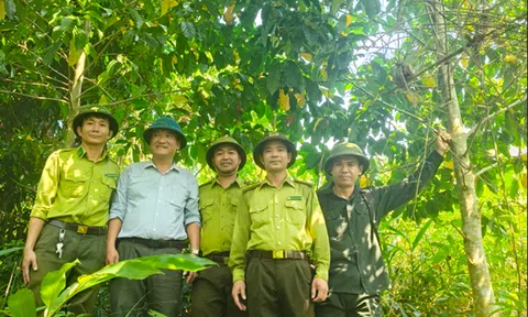 Quảng Trị: Ban Quản lý rừng phòng hộ Quảng Ninh phòng cháy, chữa cháy rừng