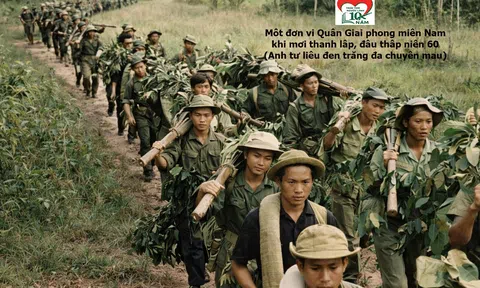 Hồ sơ Số 04/2026: Khoảng 200 liệt sĩ đã hi sinh tại Làng Bảy - Lộc Ninh, tháng 7 năm 1968. Có thể có ngôi mộ tập thể tại đây?