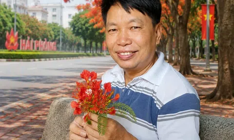 Lâu rồi lại đến Hải Phòng
