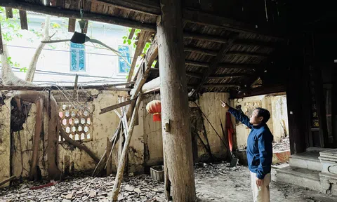 Phú Thọ: Hãy cứu lấy đình Hiển Lễ - Di tích lịch sử nay chỉ còn lại phế tích